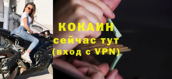 стаф Алзамай