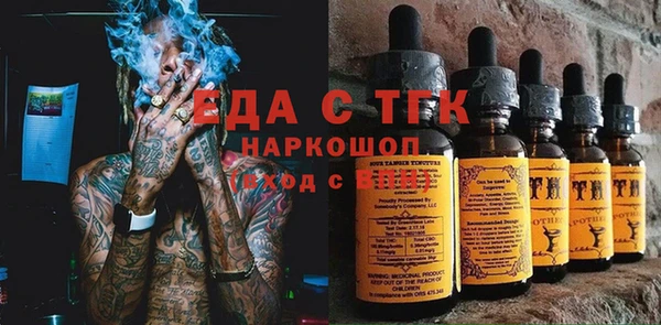 стаф Алзамай