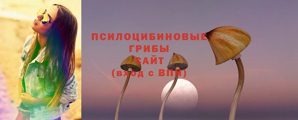 МДПВ Переславль-Залесский