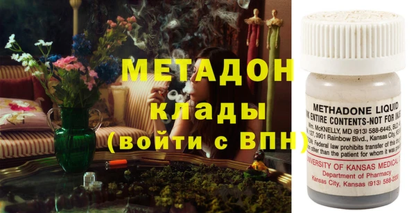 стаф Алзамай