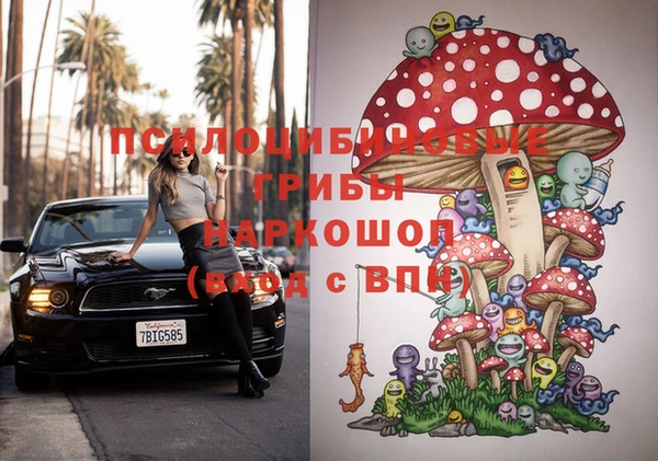 метадон Пестово
