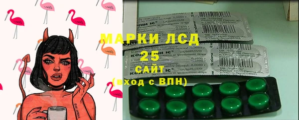 стаф Алзамай